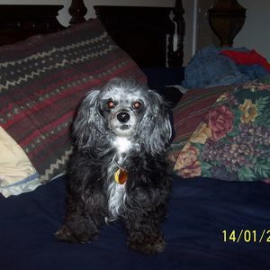 Meet your Posher, John